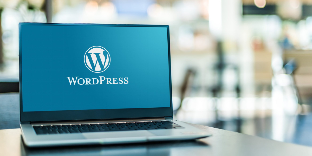 WordPress Custom Design and Development Training
